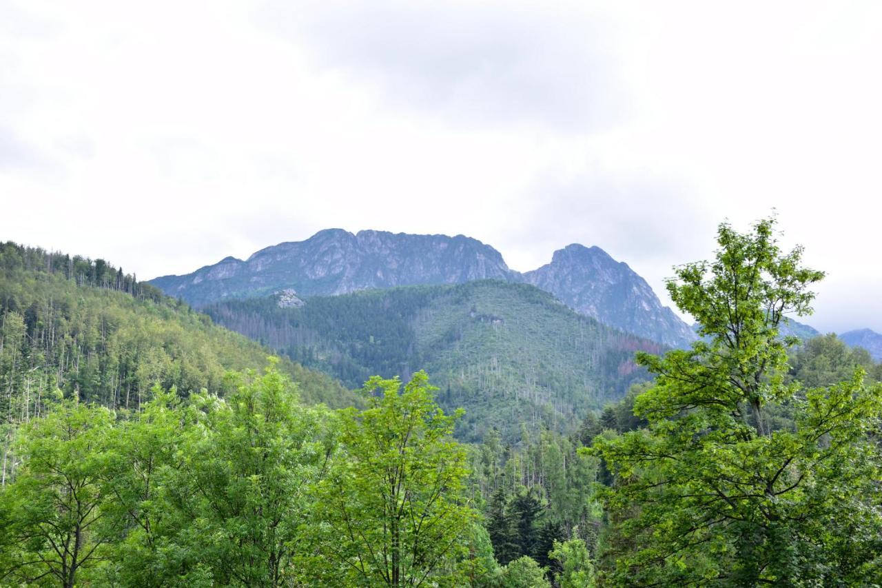 Willa Halka Zakopane Bagian luar foto
