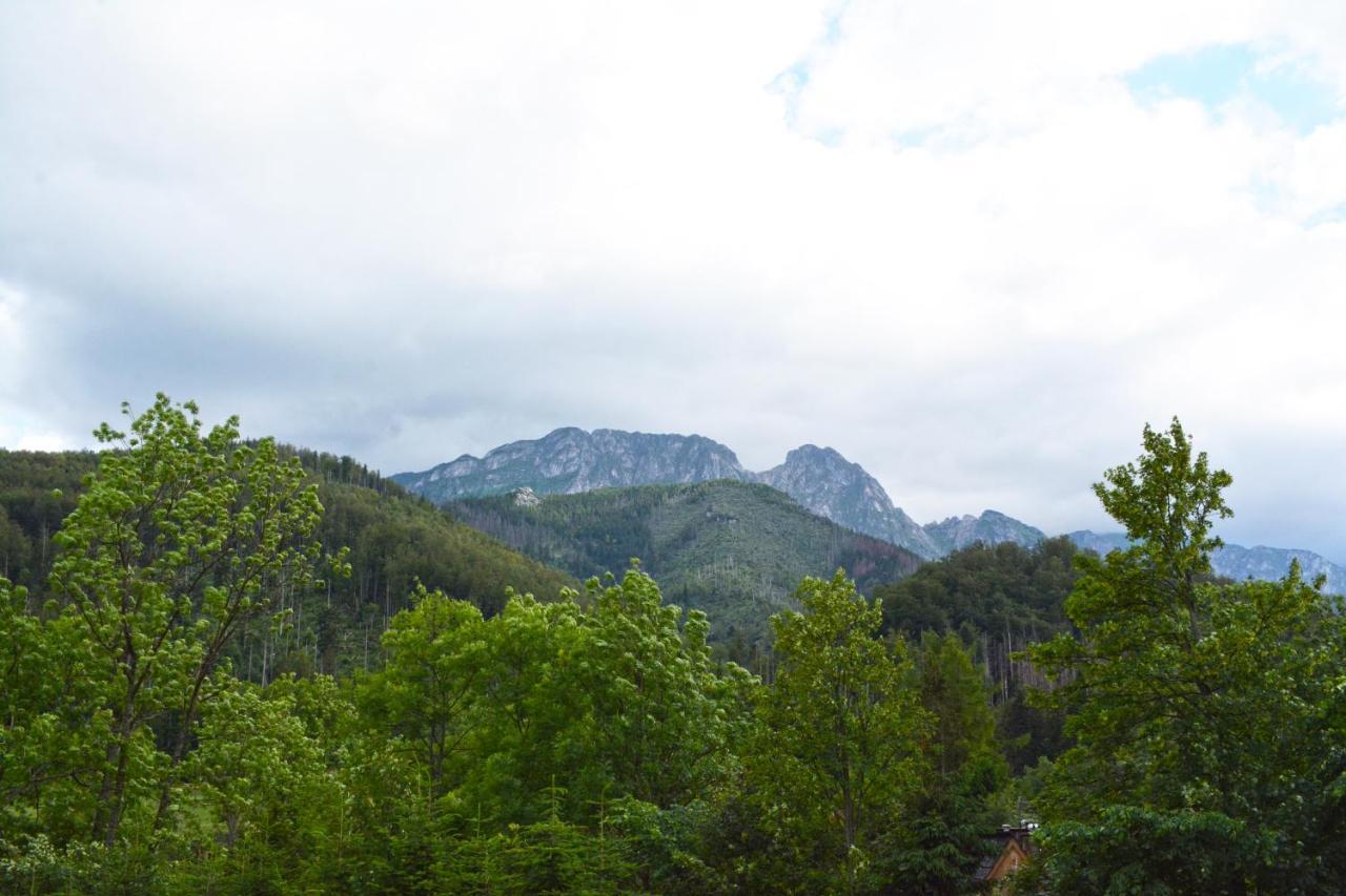 Willa Halka Zakopane Bagian luar foto