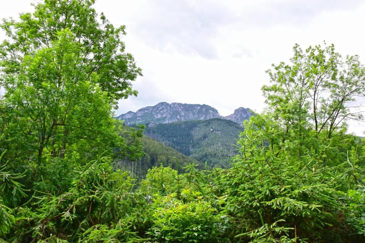 Willa Halka Zakopane Bagian luar foto